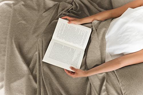 Queen Size 4 Piece Sheet Set - Comfy Breathable & Cooling Sheets - Hotel Luxury Bed Sheets for Women & Men - Deep Pockets, Easy-Fit, Soft & Wrinkle Free Sheets - Heathered Beige Oeko-Tex Bed Sheet Set