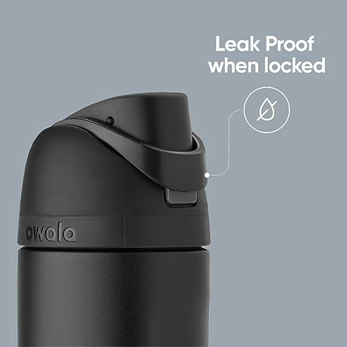 Owala FreeSip Insulated Stainless Steel Water Bottle with Straw for Sports and Travel, BPA-Free, 24-oz, Retro Boardwalk