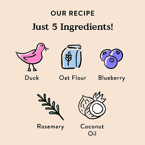 Bocce's Bakery Oven Baked Quack, Quack Treats for Dogs, Everyday Wheat-Free Dog Treats, Made with Real Ingredients, in The USA, All-Natural Duck & Blueberry Biscuits, 5 oz