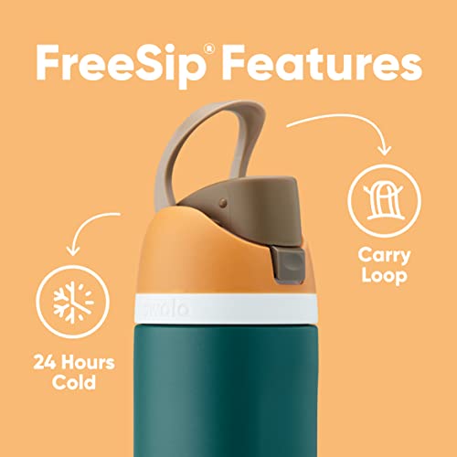 Owala FreeSip Insulated Stainless Steel Water Bottle with Straw for Sports and Travel, BPA-Free, 24-oz, Retro Boardwalk