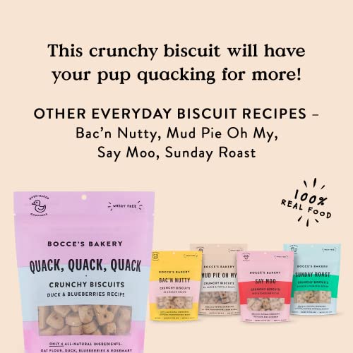 Bocce's Bakery Oven Baked Quack, Quack Treats for Dogs, Everyday Wheat-Free Dog Treats, Made with Real Ingredients, in The USA, All-Natural Duck & Blueberry Biscuits, 5 oz