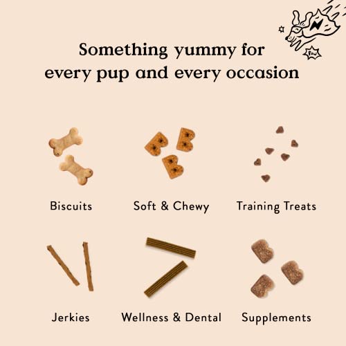 Bocce's Bakery Oven Baked Quack, Quack Treats for Dogs, Everyday Wheat-Free Dog Treats, Made with Real Ingredients, in The USA, All-Natural Duck & Blueberry Biscuits, 5 oz