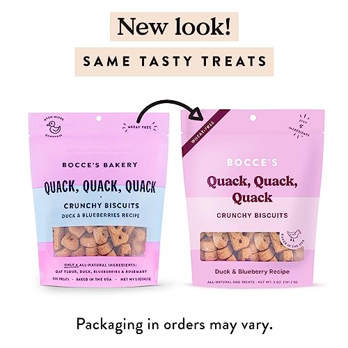 Bocce's Bakery Oven Baked Quack, Quack Treats for Dogs, Everyday Wheat-Free Dog Treats, Made with Real Ingredients, in The USA, All-Natural Duck & Blueberry Biscuits, 5 oz
