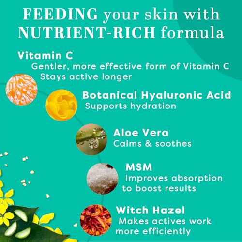 TruSkin Vitamin C Face Serum – Anti Aging Facial Serum with Vitamin C, Hyaluronic Acid, Vitamin E & More – Brightening Serum for Dark Spots, Even Skin Tone, Eye Area, Fine Lines & Wrinkles, 1 Fl Oz