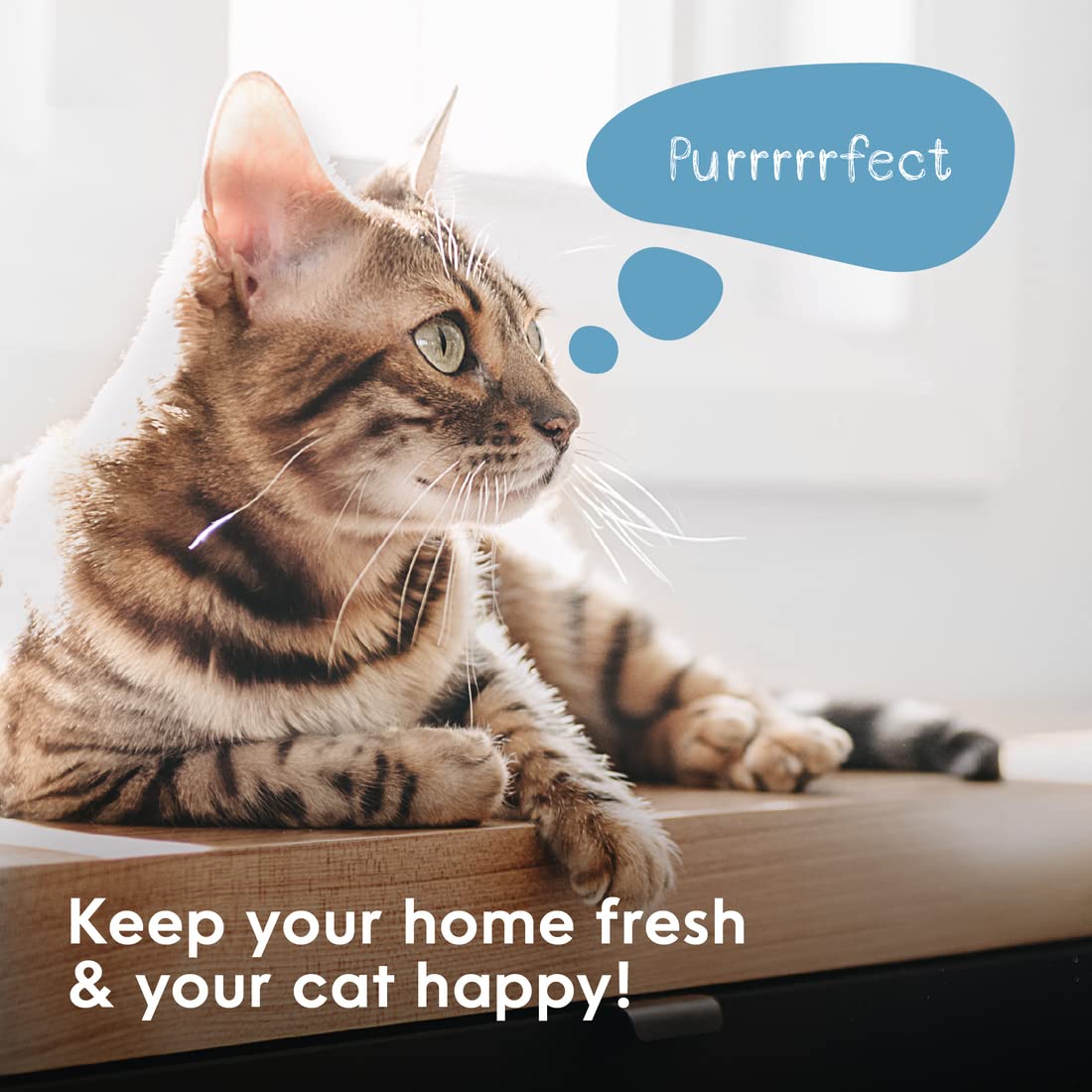 Litter Genie Plus Pail (Black) | Cat Litter Box Waste Disposal System for Odor Control | Includes 1 Square Refill Bag