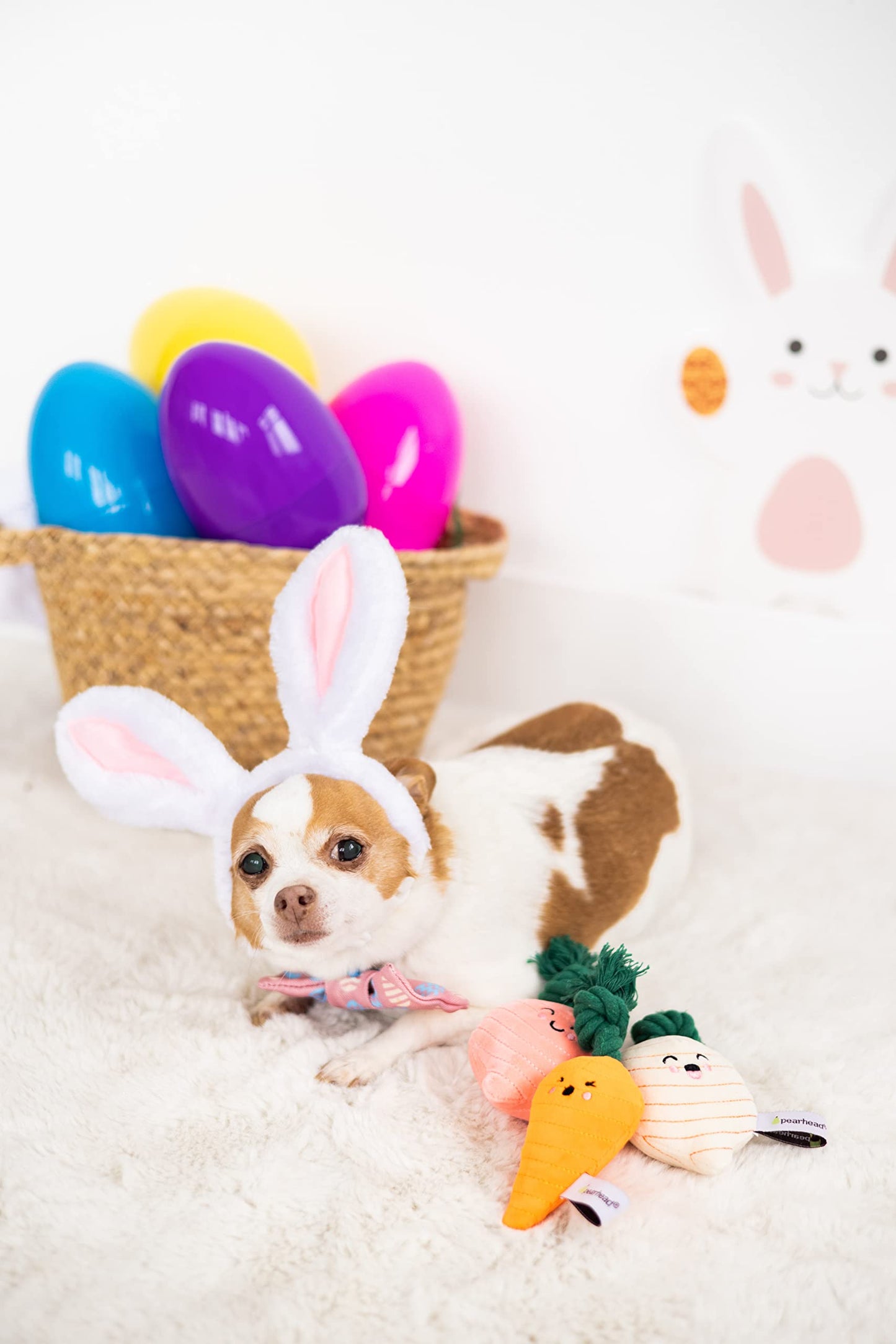 Pearhead Spring Garden Veggies Dog Toys, Radish, Carrot and Turnip Squeaky Rope Toys, Gift for Pet Parents, Vegetable Plush Dog Toys, Set of 3