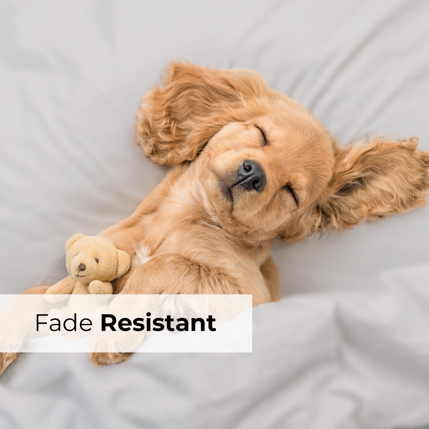 Extra Deep King Sheet Set - 6 Piece Breathable & Cooling Sheets - Hotel Luxury Bed Sheets Set - Easy Fit - Soft, Wrinkle Free & Comfy Sheets Set - Light Grey Sheet Set w/Extra Deep Pockets