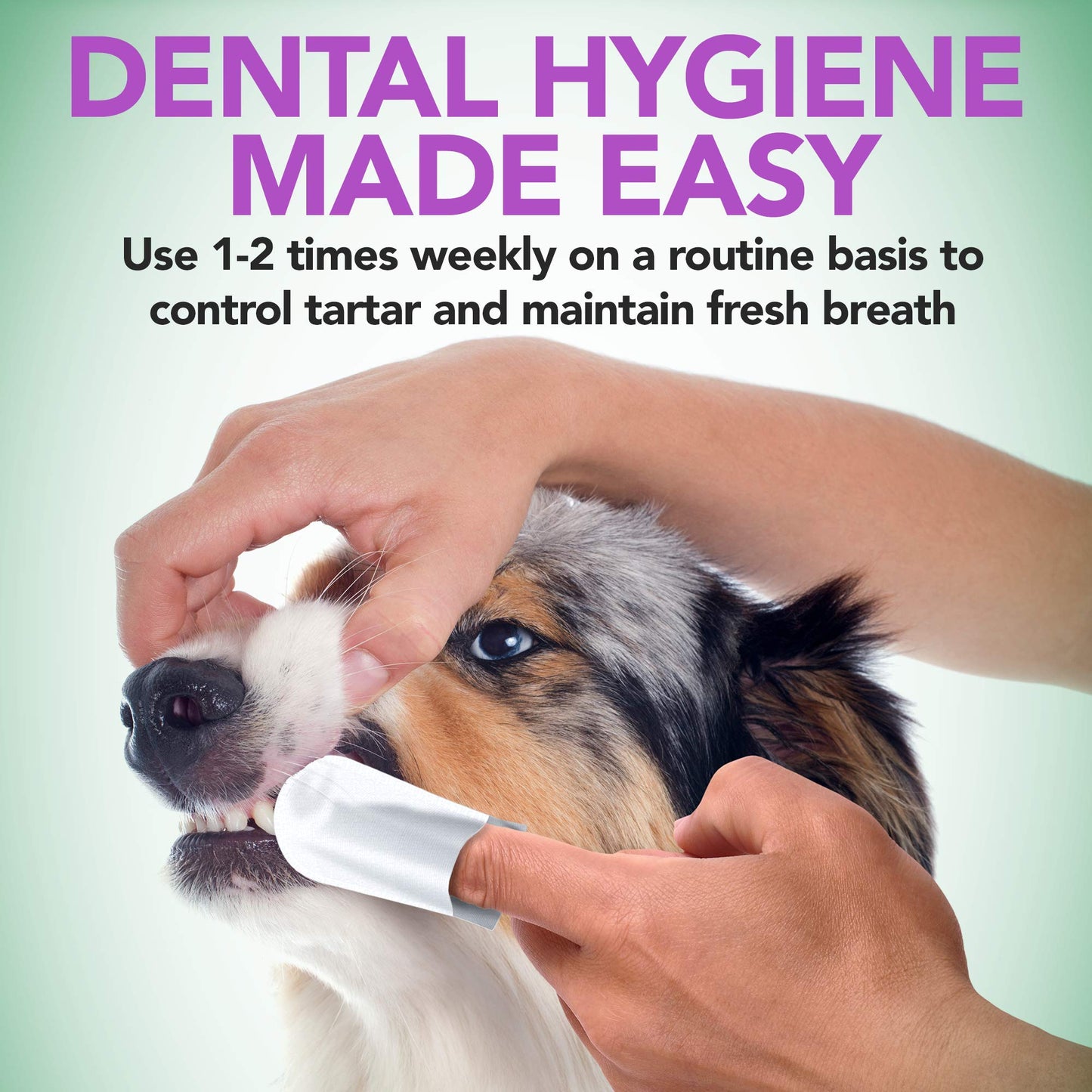 Vet's Best Dental Care Finger Wipes - Reduces Plaque & Freshens Breath - Teeth Cleaning Finger Wipes for Dogs & Cats - 50 Count