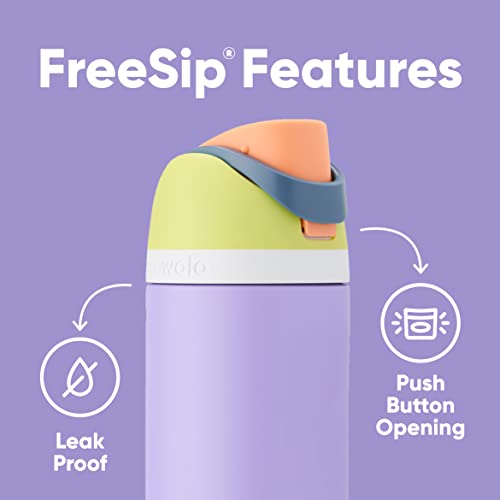 Owala FreeSip Insulated Stainless Steel Water Bottle with Straw for Sports and Travel, BPA-Free, 24-oz, Retro Boardwalk