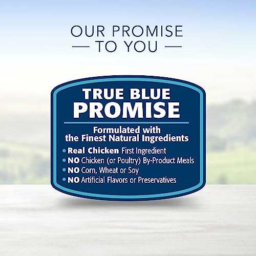 Blue Buffalo Life Protection Formula Natural Adult Healthy Weight Dry Dog Food, Chicken and Brown Rice 30-lb