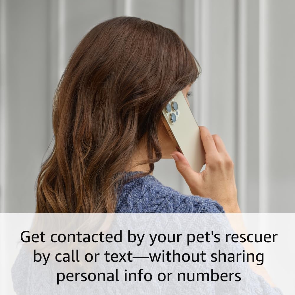Introducing Ring Pet Tag | Easy-to-use tag with QR code | Real-time scan alerts | Shareable Pet Profile | No subscription or fees
