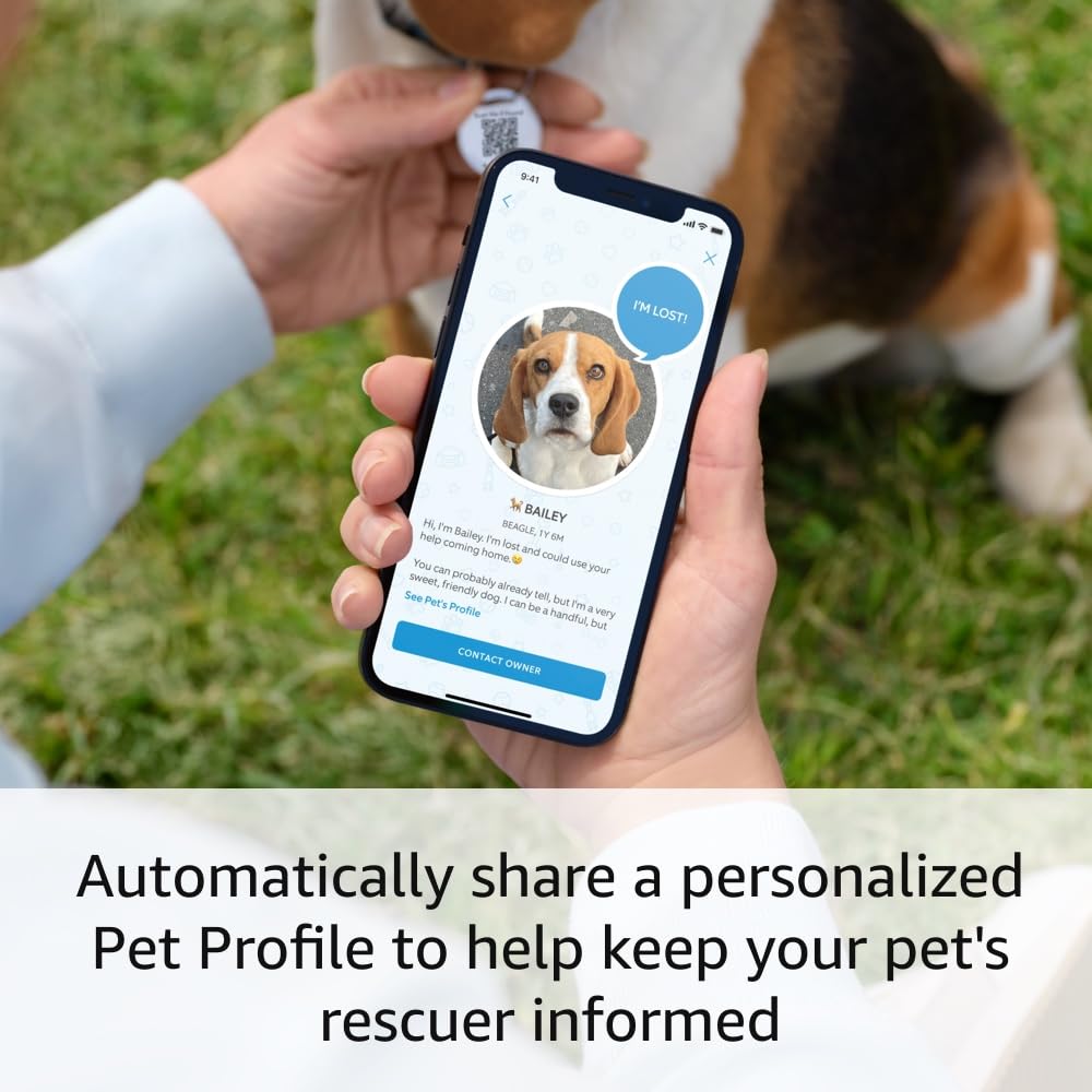 Introducing Ring Pet Tag | Easy-to-use tag with QR code | Real-time scan alerts | Shareable Pet Profile | No subscription or fees