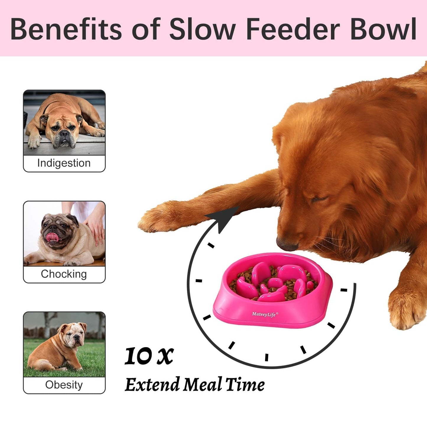 MateeyLife Slow Feeder Dog Bowls, Anti-Choking Puzzle Dog Food Bowls, Non Slip Interactive Dog Feeding Bowls That Slow Down Eating, Bloat Stop Maze Dog Dishes Dog Feeder for Medium Large Breeds Purple