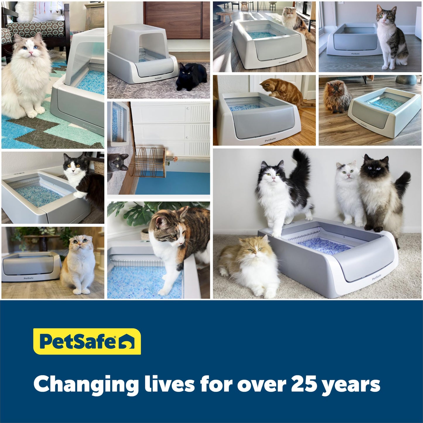 PetSafe ScoopFree Crystal Pro Self-Cleaning Cat Litterbox - Never Scoop Litter Again - Hands-Free Cleanup With Disposable Crystal Tray - Less Tracking, Better Odor Control - Includes Disposable Tray