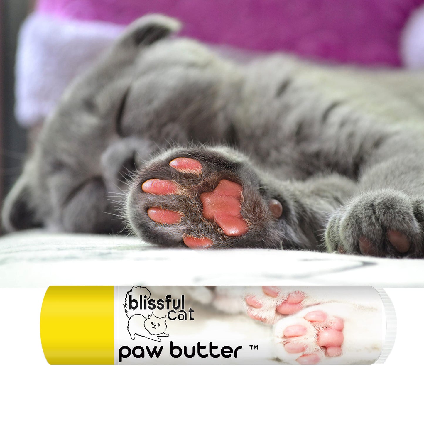 The Blissful Cat Paw Butter, Moisturizer For Dry Paw Pads, Softens and Protects a Rough Paw, Versatile, Lick-Safe Cat Paw Balm, 0.15 oz.